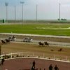 Президент Туркменистана упал с коня во время скачек