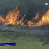 В Калифорнии горят леса