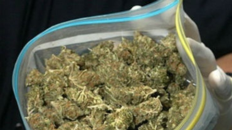 Рекордный "урожай": Полиция Парагвая изъяла 46 тонн марихуаны