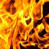 В Николаеве 2-летняя девочка упала в костер