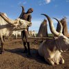 Бои за скот в Южном Судане: Среди погибших - дети