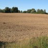 Украинские земли могут подорожать в 40 раз, - эксперт
