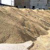 Рада намерена вернуть бессрочную сертификацию услуг по хранению зерна