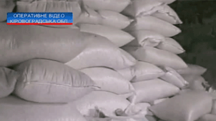 В Кировоградской области выявили подпольный зерновой цех