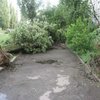 Ураган в Сумах повалил десятки деревьев и бигбордов