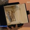 "Золотую пальмовую ветвь" дали эротическому фильму о лесбиянках