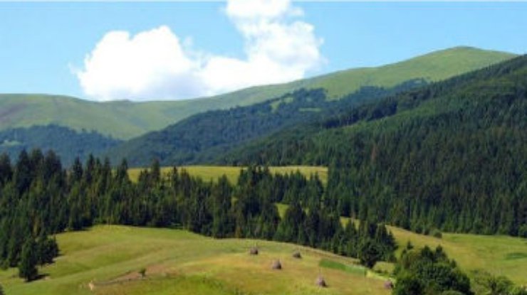Кабмин передал нацпарку "Гуцульщина" 116 гектар леса на Ивано-Франковщине