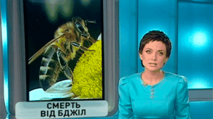 Житель Виннитчины умер от нападения роя пчел