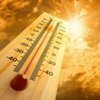 Мавритания: 50-градусная жара унесла жизни 17 человек