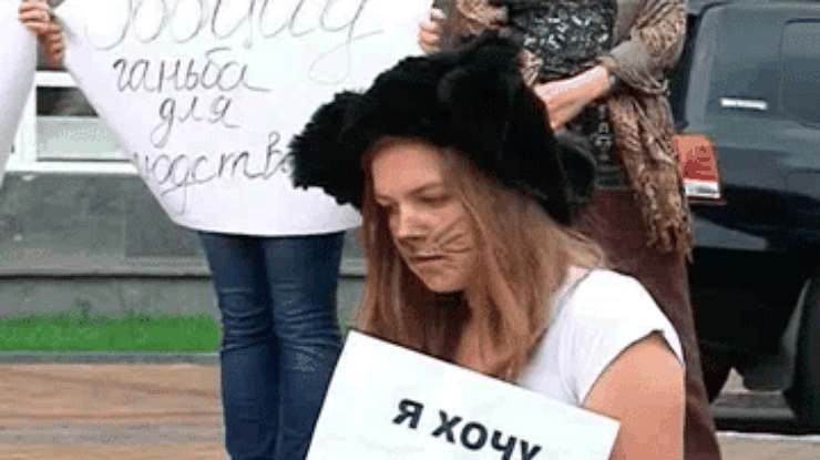 Винницкие депутаты решили усыпить бездомных собак