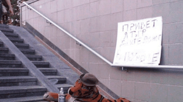 В центре Киева "попрошайничает" плюшевый тигр (фото)