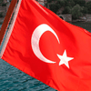 Британская школьница пересекла границу Турции по паспорту единорога
