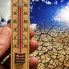 Засуха погубила урожай в Крыму
