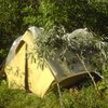 В палатке возле Яремче нашли скелет пропавшей год назад девушки