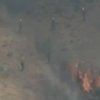 Жертвами лесных пожаров в США стали 19 человек