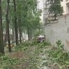 На Китай обрушился тайфун "Рамбия"