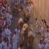 В Испании состоялся знаменитый "Бег быков"
