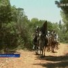 Исторические реконструкторы воссоздали в Израиле битву при Хаттине