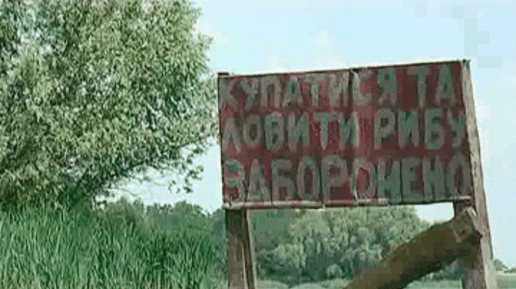 В селе на Черкащине погибла вся рыба в пруду. Люди винят во всем аграриев