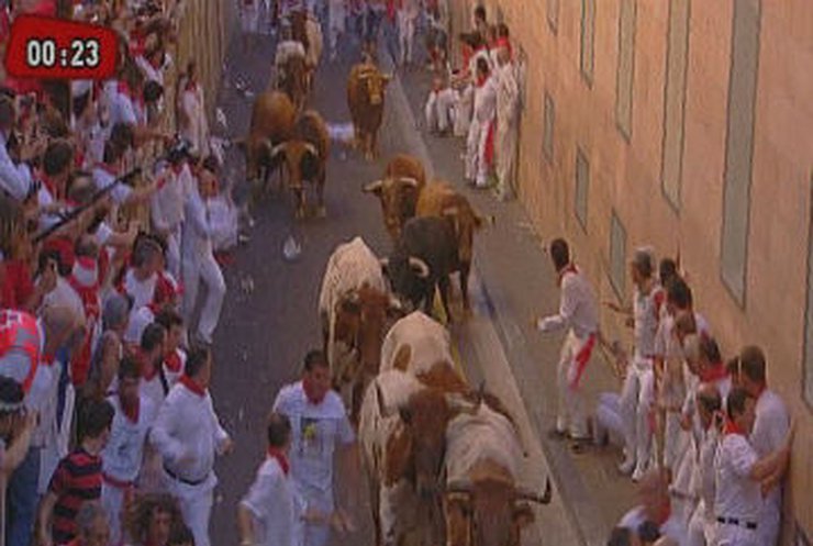 В Испании состоялся знаменитый "Бег быков"