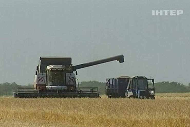 Украинские аграрии прогнозируют ценовой коллапс на рынке зерна