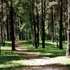 На Ривненщине женщина неделю пыталась выбраться из леса