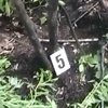В Прикарпатcком лесу грибник нашел обгоревшие человеческие останки (видео)
