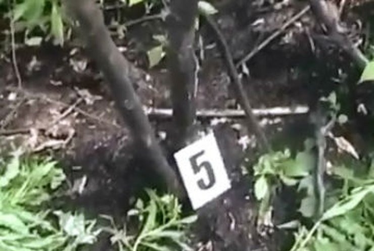 В Прикарпатcком лесу грибник нашел обгоревшие человеческие останки (видео)