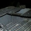 Рухнувшая с крыши корова убила бразильца