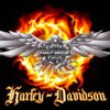 Американец 38 лет ждал покупки Harley Davidson, проехал на нем 5 километров и разбился