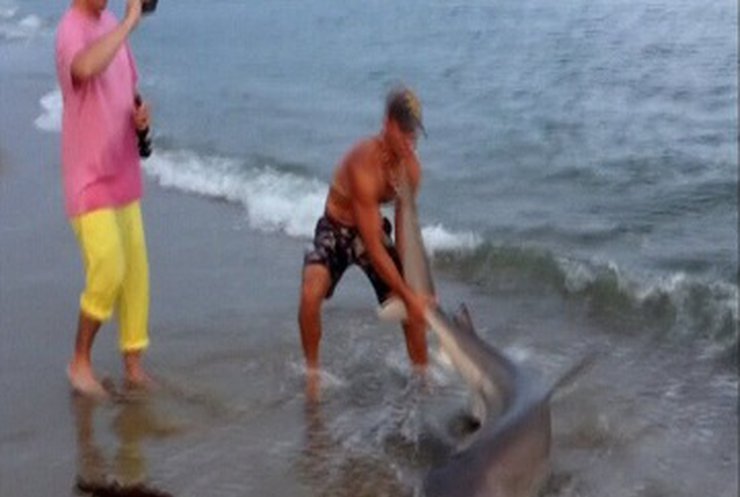 Житель США на удочку поймал двухметровую акулу