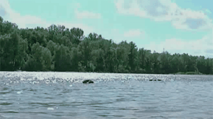 На Буковине спасли шестилетнего мальчика, тонувшего в Днестре