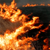 Закарпатские пожарные боролись с огнем в горной долине