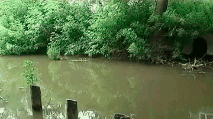 Нечистоты в реке отравляют воздух жителям Збаража