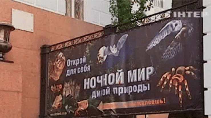 Причиной пожара в киевском музее стало короткое замыкание