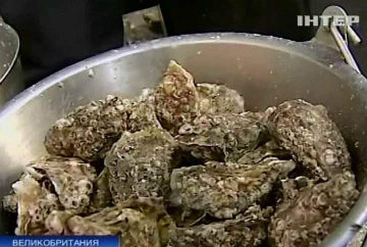 В британском городке Уитстабл стартовал фестиваль устриц