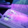 Биометрические паспорта упростят для украинцев путешествия в ЕС