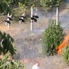 Возле метро "Левобережная" горит посадка, - СМИ