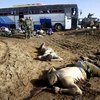 Прошедший июль в Ираке стал самым кровавым с 2008 года, - ООН