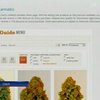 В Вашингтоне открылась аптека, продающая марихуану