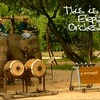 Оркестр из слонов-музыкантов стал популярным среди тайской публики