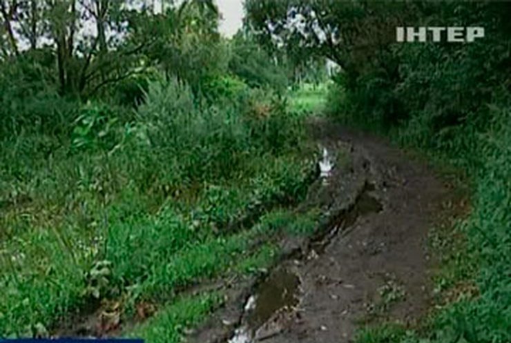 Село на Тернопольщине страдает от бездорожья