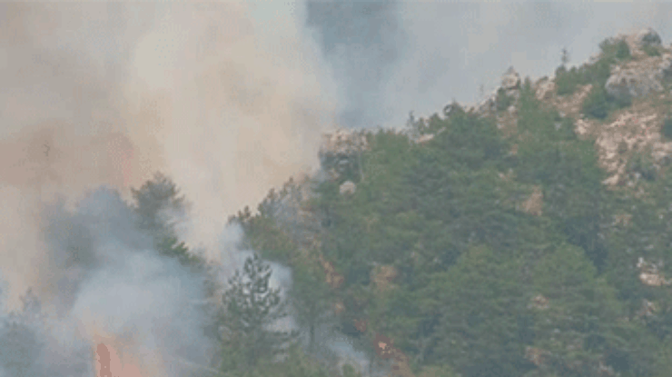 Боснию накрыли лесные пожары