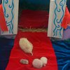 Трех ежат, родившихся в один день с принцем Кембриджским, поселили во дворце