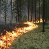 Возле украинской границы в Румынии горит лес