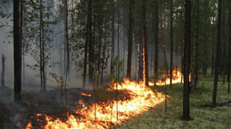 Возле украинской границы в Румынии горит лес
