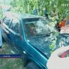Жители Львова устроили самосуд над водителем, сбившим двух детей