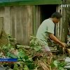 На Филиппинах устраняют последствия тайфуна