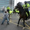 Фаната "Ньюкасла" судят за избиение лошади