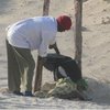 В Сомали казнили исламиста за убийство журналиста
